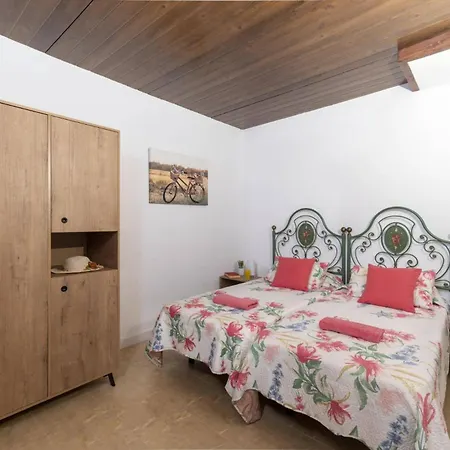 Jardin Canario By Corralejo